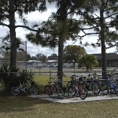 Schools