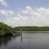 Jonathan Dickinson State Park