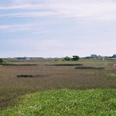 Fort Moses