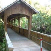 The Joy & Gordon Patterson Botanical Garden at Florida Tech
