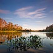 Grassy Waters Preserve