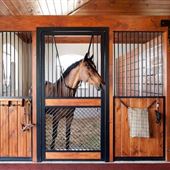 International Polo Club Palm Beach