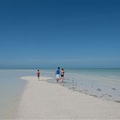 Sand Bar - Anclote