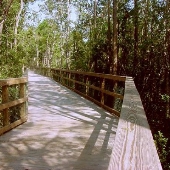 Turkey Creek Walk