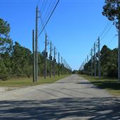 Navy Wells Pineland Preserve