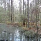 Swamps, Lakes