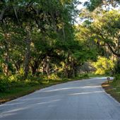 Oscar Scherer State Park