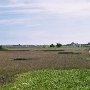 Fort Moses