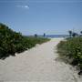 A1A and Casuarina