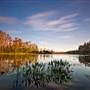 Grassy Waters Preserve