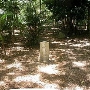 Miami Pinewood Cemetery