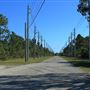 Navy Wells Pineland Preserve