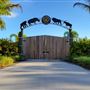 Lion Country Safari