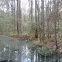 Swamps, Lakes