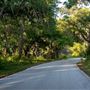Oscar Scherer State Park