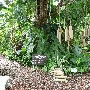 Unbelievable Acres Botanical Gardens