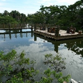 Palm Beach Zoo