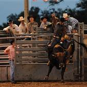 LaBelle Rodeo Arena