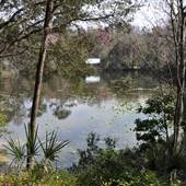 Jacksonville Arboretum and Gardens