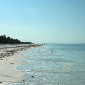 Anclote Key Preserve State Park