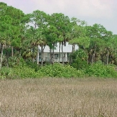 Aripeka