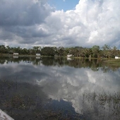 JW Corbett Wildlife Management
