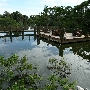 Palm Beach Zoo