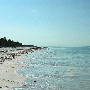 Anclote Key Preserve State Park