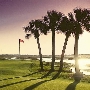 St Johns Beach GC
