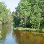 Turkey Creek