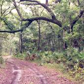 Betz Property