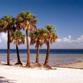 North Shore Park