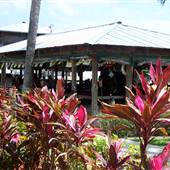 Tiki Bar & Grill