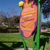 Common Ground Playground