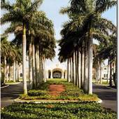 Trump International Golf Club
