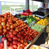 Francis Fresh Produce