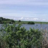 South Bay Nature Park