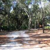 Rocky Bayou Stables