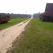 Senterfitt Farms