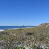 Beasley Park