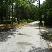 Mandarin RD-Longview DR