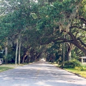 Magnolia Street