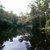 Black Creek