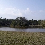 Camp Miles