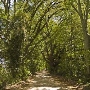 Suwannee Street