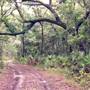 Betz Property