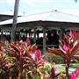Tiki Bar & Grill