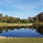 Saddlebrook Resort