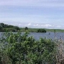South Bay Nature Park
