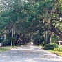 Magnolia Street